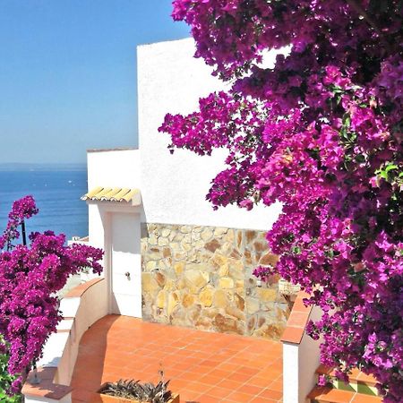 Splendido Studio, Vista Mare, A 5Mn Dalla Spiaggia - Casa Artevida Rosas Exteriör bild